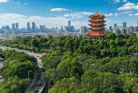 糖心app软件旧版下载-重温经典，糖心APP软件旧版下载全攻略