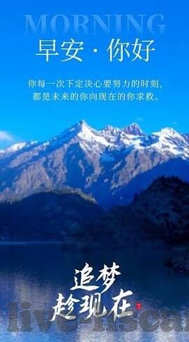 vlogcom糖心官网免费进入-解锁生活Vlog新视界 —— 免费畅游Vlogcom糖心的奇妙之旅